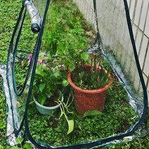 길고양이 셀프 간이 화분 식물 미니 비닐 하우스 보온 덮개 온실 만들기, 1개