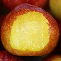 경북 청송 가을자두 추희자두 3kg 왕자두 황제추희자두 햇자두 자두선물세트 산지발송 국내산, 청송 황제 추희자두 특자두 130g내외 3kg