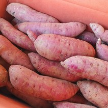 보령 꿀고구마 5KG