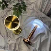 에피하임 아령조명 무선 스탠드 테이블 조명 무드등, 유광-화이트