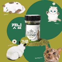 [BETTER GO] 퀸오브캣닢 캣닢가루 12g