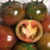 보성 산지직송 흑토마토 4kg (40~45개내외), 단품