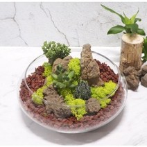 화분월드 화산석 홍색 대 9kg, 2개