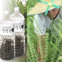 야관문키트 야관문주 만들기 세트