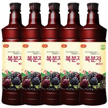 광야식품 복분자 베이스 970ml, 5개