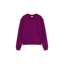 DRIES VAN NOTEN 드리스반노튼 이지 코튼 크루넥 맨투맨 - 퍼플