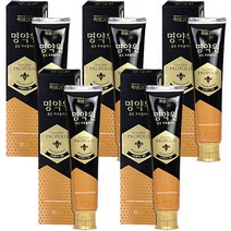 (더싼유통) 죽염 명약원 골든 프로폴리스 치약 120g (5일 사용후 달라지는 잇몸건강), 5개