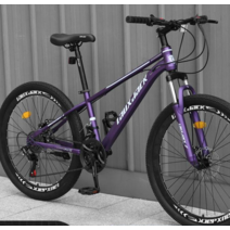 엔듀런스 자전거 그래블 바이크 그래블 클라리스 로드 입문로드 울테그라 소라급 105급, 24인치, D 21단