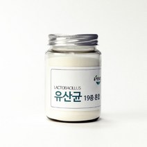 가세리유산균 유산균분말 파우더유산균 불가리유산균 유산균혼합 루테리유산균 국내산유산균 유산균루테리, 상세페이지 참조, 상세페이지 참조