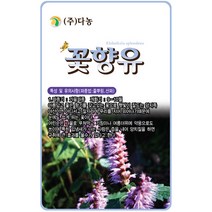만수국 80립 - 야생화 씨앗 꽃씨 씨 꽃씨앗 만수국씨앗 만수국씨 야생화씨 야생화씨앗 꽃 홍황초 프렌치매리골드, 09_다농_꽃향유(2000립)