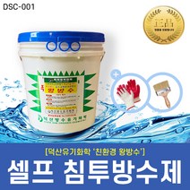 [DS_Chemical] 친환경 셀프 침투 방수제 - 왕방수 (1L 4L 10L 18L), 왕방수-4L