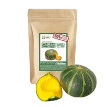 국산 단호박 분말 200g 건강 생식 천연 파우더 가루, 국산단호박분말 200g