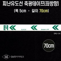 SM화이어테크 피난유도선 축광테이프 길이 70cm 대피유도로 야광띠 우방향 좌방향 방화셔터내려오는곳, 1개