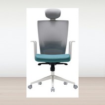 라이프체어 시디즈 사무용 공부용 의자 T50 Light, 블루, 목받침조절 기울임강도조절 높이조절 틸팅각도조절