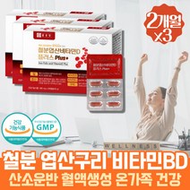 약 6개월 출산후 산모 철분제 보충제 임산부 에너지 운동 영양제 수용성 지용성 바이타민 엽산 구리 미네랄 푸마르산 제일철 글루콘산 동 옆산 비타민디 항산화제 골다공증 에도움