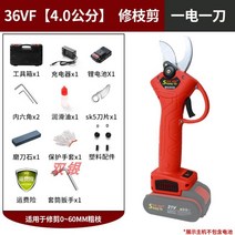 독일 리튬 충전식 무선 전동 전지가위 가지치기, 옵션1, 1개