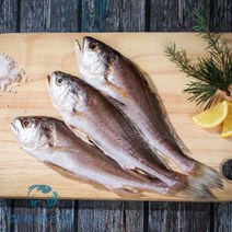 반건조 손질되어 편한 제사생선 침조기 긴가이석태 손질생선 반찬용 식사용, (침조기)40cm 1마리