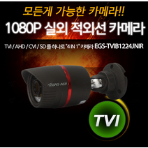 EGS-TVIB1224JNIR 올인원 실외 적외선CCTV, CCTV