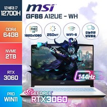 MSI GF66 15인치 A11UE A12UE RTX3060 인텔 i7 고성능 노트북, WIN11 Pro, 64GB, 2TB, 코어i7, 화이트