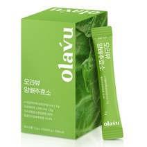 유기농 양배추 발효효소 분말 가루 30포 곡물효소 역가수치 높은 효소 탄수화물분해효소 소화효소, 5개