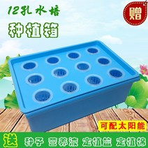 콩나물재배기 상추키우기 도시농업 새싹삼 새싹보리수경재배기 스마트팜식물재배기 상추재배기 수직형식물공장 무순키우기세트 수경식물 수경재배식물, 중간 정도, 청색태양광산소충전형수배탱크