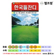 헬프팜 한국들잔디 400g 아람종묘 잔디씨 종자