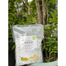 백색자갈 1Kg 2.5Kg) 흰돌 화분 어항 바닥재 다육이 조경 자갈돌 수경재배돌 인테리어돌, 1Kg - 미립
