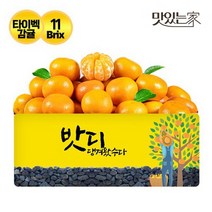 제주농부 타이벡 조생감귤 4.5kg 로얄과(2S-M), 02.타이벡 조생감귤 4.5kg 중과(L)