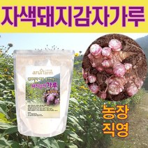 아루이팜 돼지감자가루 자색 돼지감자 가루 분말 200g 차, 1봉