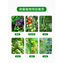 정원 가든아치 단독주택 꾸미기 아치형 포도 나무 랙 야외 아치 발코니 꽃 안뜰 철 장미 등나무 극, [18] 녹색, [01] 빅사이즈