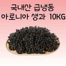 생아로니아 냉동 아로니아 생과 아로니아열매 블랙초코베리 킹스베리 10kg