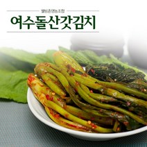 [웰빙촌]여수돌산갓김치4kg, 1박스