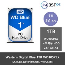 WD BLUE MOBILE 노트북용 HDD, 1TB, WD10SPZX