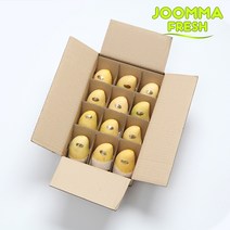 [줌마망고] 직수입 필리핀 카라바오 꿀 생망고 1kg 2kg 4kg 5kg, 카라바오망고 M 12과 3kg