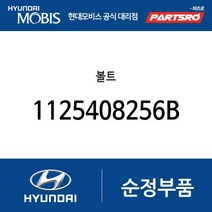 볼트 (1125408256B) 클릭 베르나 싼타페 투싼 트라제XG 베라크루즈 NF쏘나타 뉴 슈퍼 에어로 시티