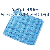 사무실 개인용 무더위쉼터 냉방석 1p / 시트 요양원 허리 학생용