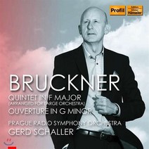 [CD] Gerd Schaller 브루크너: 오케스트라를 위해 편곡된 5중주곡 (Bruckner: Quintet in F Major [arranged for...