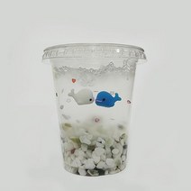 돌고래 컵 수족관만들기(일반형) - 5인세트