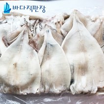 인기있는 동해묵호항오징어 구매률 높은 추천 BEST 리스트