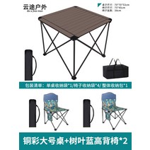 접이식식탁의자 에그롤테이블 알루미늄테이블 의자휴대 외부용 허리편한의자, T10-대학1학년