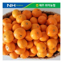 제주 위미농협 노지 감귤 5kg/일반