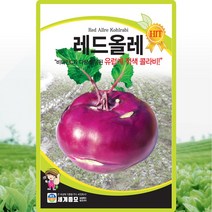 레드올레 콜라비 씨앗 콜라비 씨 종자 500립, 단품
