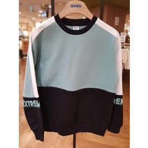 에스핏23년봄신상아이싱엑서스제트밀라이즌맨투맨티셔츠4색상SJX101MKRT22