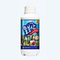 [좋은농자재] 대유 해초칼 액제(500ml) - 과실크기증대 칼슘공급