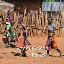 [위트러스트] 에티오피아 방기 게이샤 200g Ethiopia Geisha, 커피메이커