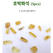 소나무 송진화석 호박화석 화석관찰용 과학수업