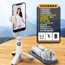 휴대폰 브이로드 스마트 링라이트 얼굴추적리얼 AR 손떨림 방지 구름대 안정기 핸디 셀카봉 촬영신기 사진촬영 생방송 영상 거치대 360도 자동 회전, 14 화이트【시니어 라이브】프리미엄 라이팅+디