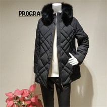 프로그램 폭스털 카라 다운 P214D030 중앙로역점