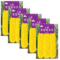 노랑 초당옥수수 씨앗 100립 옥수수씨, 5개