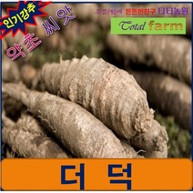RA3/약초씨앗/산야초/더덕 (사삼) 500 립/